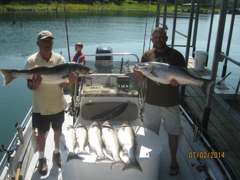 Nice Striped Bass